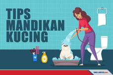 Cara Memandikan Kucing,...