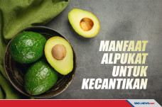 Buah Bermanfaat Alpukat...