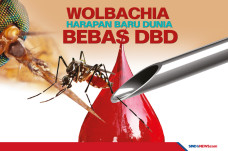 Metode Wolbachia Jadi...