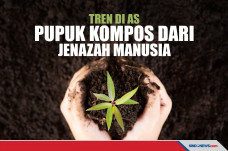 Sedang Tren di AS, Pupuk...