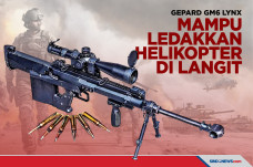 Gepard GM6 Lynx, Senapan...