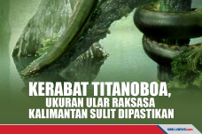 Masih Kerabat Titanoboa,...