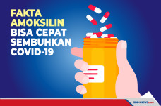 Apakah Amoksilin Bisa...