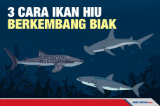 Tiga Perbedaan Cara...