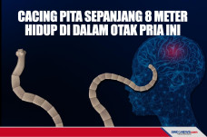 Cacing Pita Sepanjang...