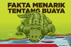 Ini 8 Fakta Menarik...