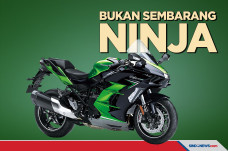 Bukan Sembarang Ninja,...