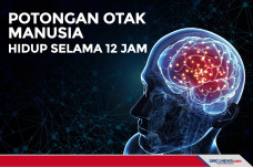 Ilmuwan Terkejut Lihat...