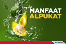 Alpukat Tak Hanya Turunkan...