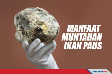 Manfaat Muntahan Ikan...