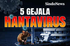 Virus Hanta Merebak!...