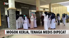 Mangkir Kerja 5 Hari,...