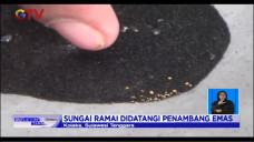 Serbuk Emas Ditemukan,...