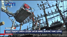 Burungnya Lepas, Seorang...