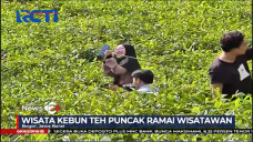 Wisata Kebun Teh Puncak,...