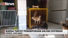 Puluhan Warga Larangan...