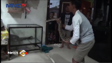 Ayah dan Anak Tangkap...
