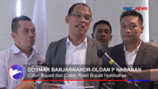 Pilkada Humbahas, Perindo...