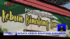Kembali Dibuka Kebun...