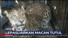 Dua Kali Ditangkap Warga,...