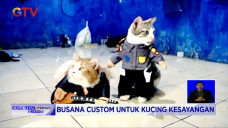 Bisnis Busana Kucing...