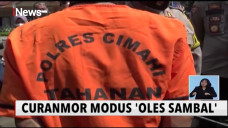 Modus Oles Sambal, Cara...