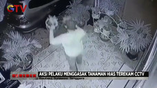 Spesialis Pencuri Bunga...