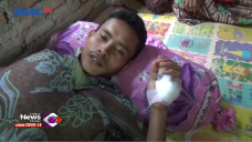 Digigit Buaya Rawa,...
