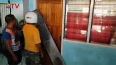 Kades Hamili Staffnya,...