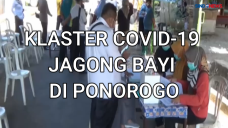 Klaster Jagong Bayi...