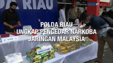 Polda Riau Ungkap Pengedar...
