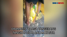 Dramatis, Warga Tangerang...