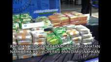 BNN Musnahkan Ratusan...