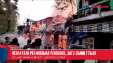 Kebakaran Pemukiman...