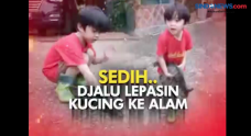 Djalu Putra Irfan Hakim...