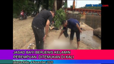 Jasad Bayi Berjenis...