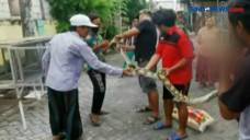 Dengan Alat Seadanya,...