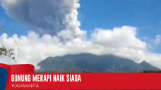 Alami Peningkatan Aktivitas,...