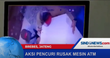 Kawanan Pencuri Membawa...