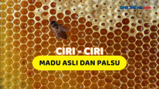 Tips Cara Mudah Membedakan...