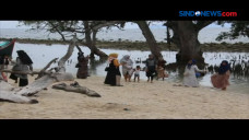 Wisata Pantai Lhok Mee