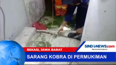 Warga Bekasi Temukan...