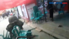 Kerbau Mengamuk di Rumah...
