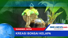 Bonsai Kelapa, Varian...