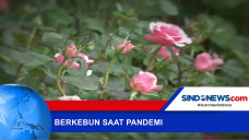Berkebun Salah Satu...