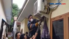 Ular Phyton Sepanjang...