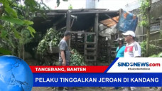 Pencurian 9 Kambing