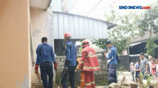 Penemuan 6 Anak Ular...