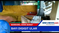 Seorang Bayi di Bandung...