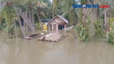 Dua Pekan Terendam Banjir,...